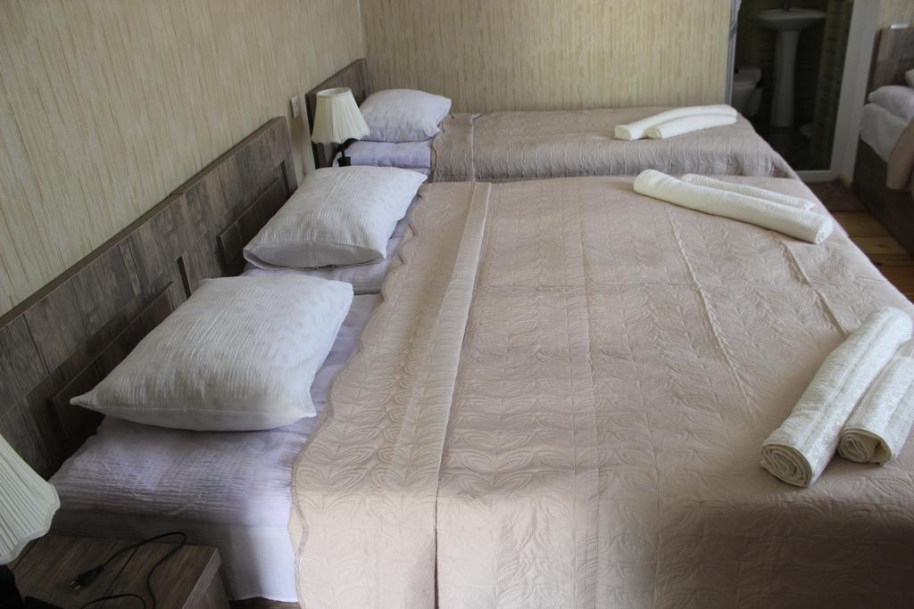 Inga Guest House Kazbegi Exterior foto